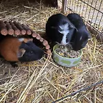 Lejlighed Gemuetliche Mit Sonnenterrasse