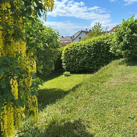 Gemuetliche Mit Sonnenterrasse Apartment Schlitz