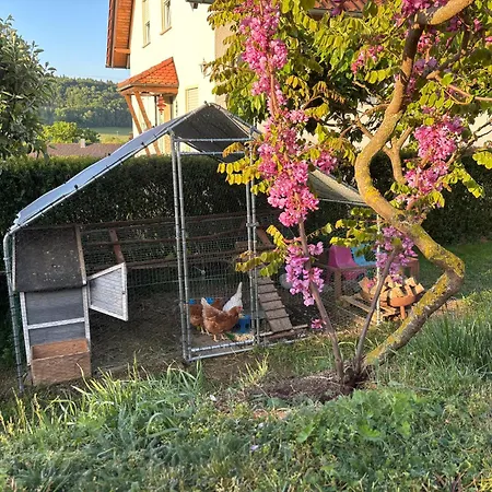 Gemuetliche Mit Sonnenterrasse Apartment *
