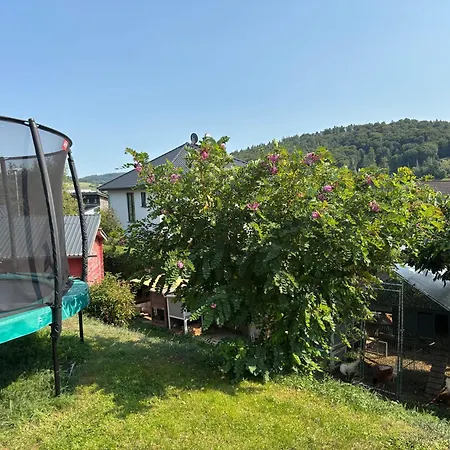 Apartment Gemütliche Mit Sonnenterrasse