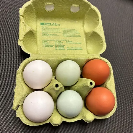 Gemütliche Mit Sonnenterrasse