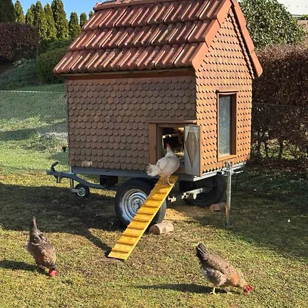 Gemuetliche Mit Sonnenterrasse Appartement