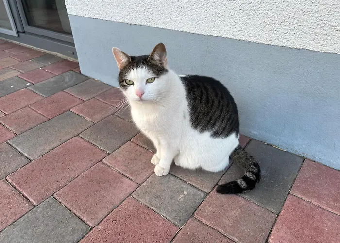 Gemuetliche Mit Sonnenterrasse Διαμέρισμα Schlitz