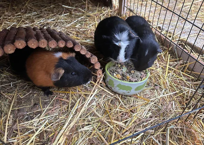 Διαμέρισμα Gemuetliche Mit Sonnenterrasse