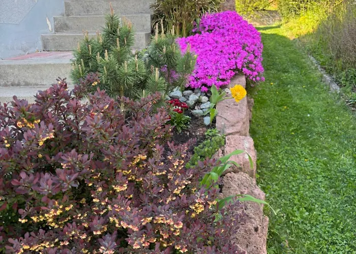 Gemuetliche Mit Sonnenterrasse Διαμέρισμα Schlitz