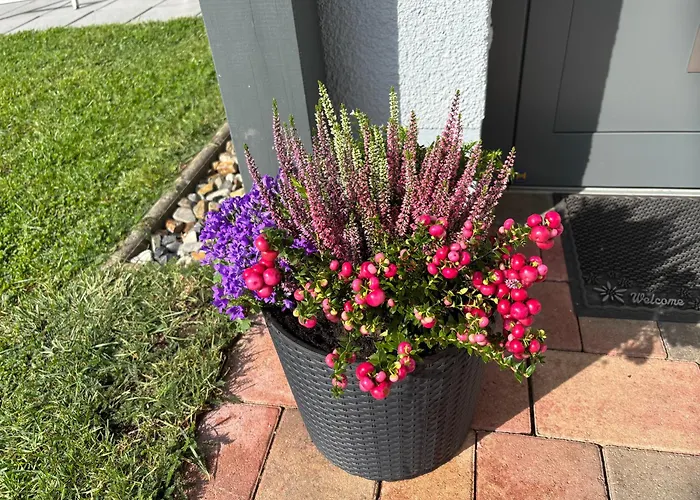 Gemuetliche Mit Sonnenterrasse